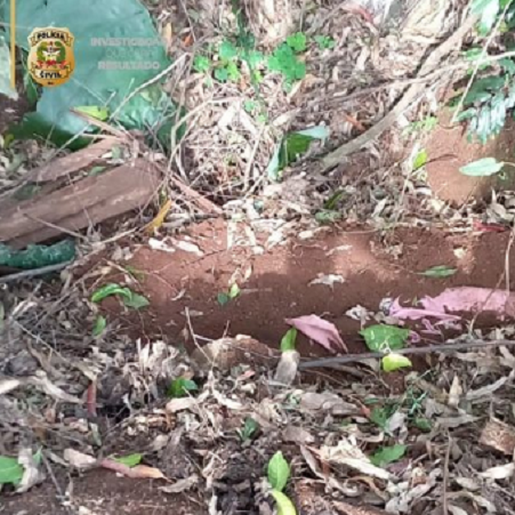 Suspeito de homicídio brutal em Palmitos é preso pela Polícia Civil em Riqueza