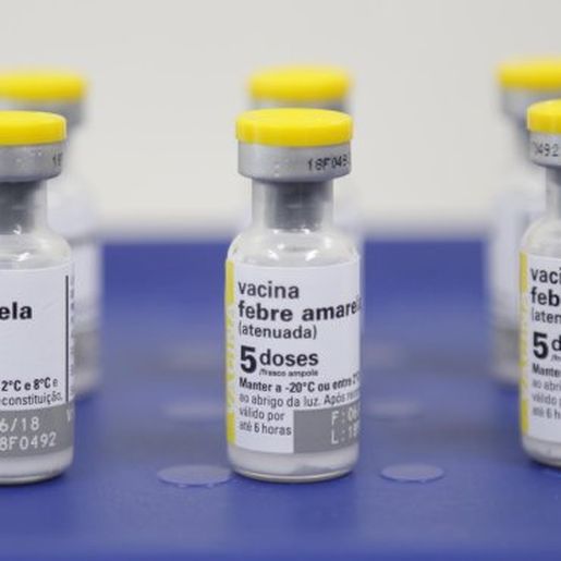 Estado confirma segunda morte por febre amarela em 2020 e reforça importância da vacina