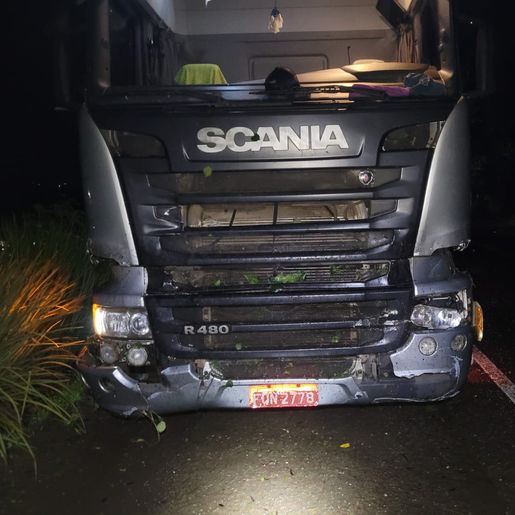 Caminhão colide em árvore caída na SC 163 em Itapiranga