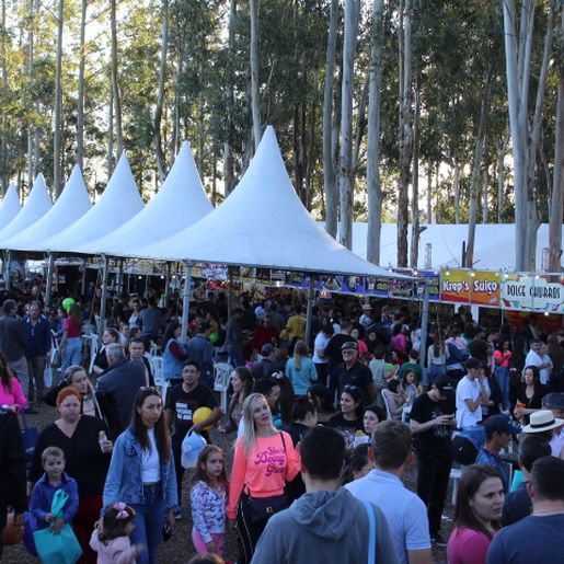 ExpoCedro registra público recorde de mais de 60 mil visitantes