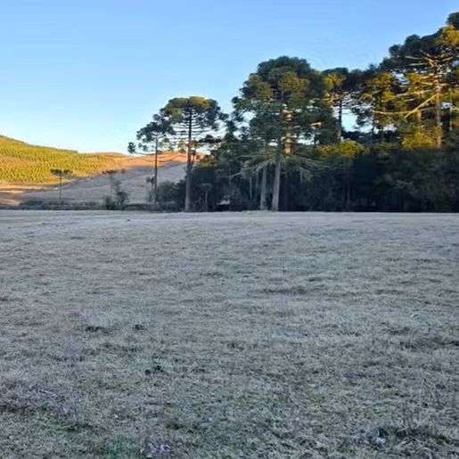 SC tem sequência gelada de inverno com mínima abaixo de -2ºC