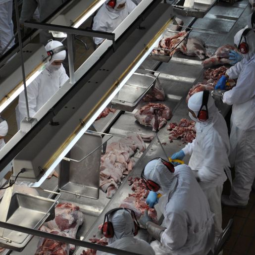 Agroindústria contrata funcionários demitidos de empresa têxtil