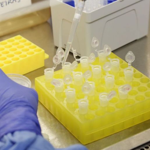 Universidade brasileira desenvolve vacina por spray nasal contra a Covid-19