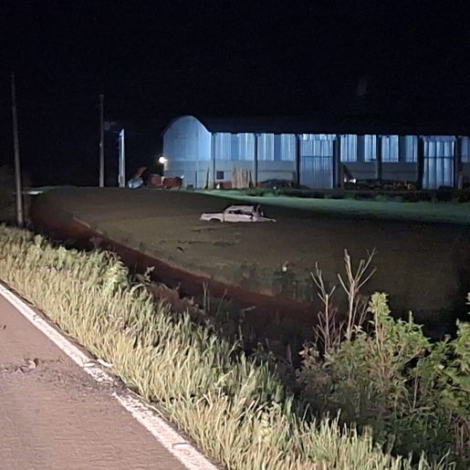 Motorista fica ferido após capotar caminhonete na SC-161, em Palma Sola