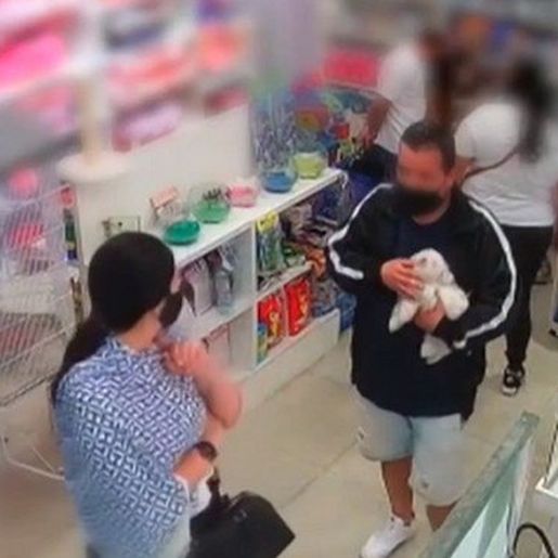 Oito cachorros são roubados por dia no Brasil; SC aparece em 2º lugar