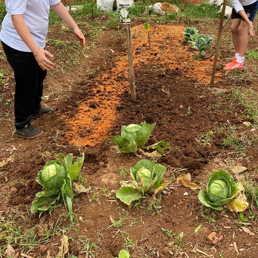 Cursos técnicos lançam novos desafios para o ensino médio na Regional de Itapiranga