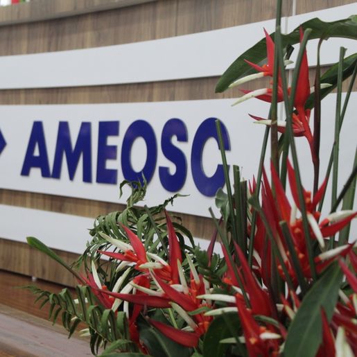 PL elege oito prefeitos na região da AMEOSC; MDB ganha 5 prefeituras