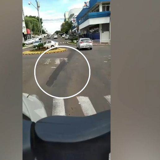 Motorista atropela e arrasta cachorro em SMO; vídeo