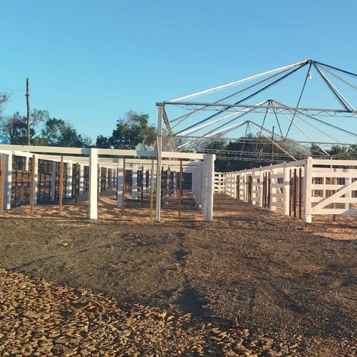 Expo Cedro 2025: Contagem regressiva para a maior edição desde a retomada