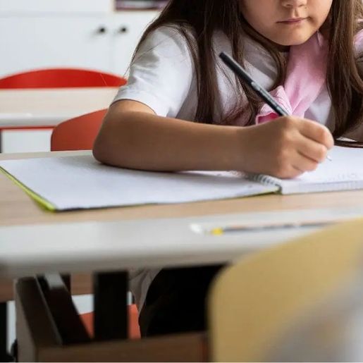 Matrículas na rede estadual de ensino em SC entram no segundo período