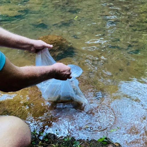 Comunidade realiza ação em prol do meio ambiente no interior de Itapiranga