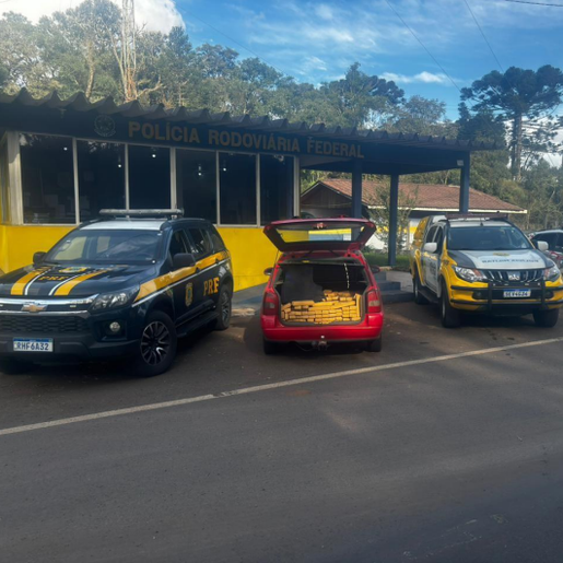 PRF e PM apreendem 240 Kg de maconha em operação conjunta