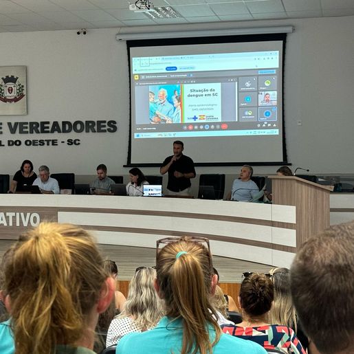 Municípios do oeste discutem ações de combate a dengue em SMO