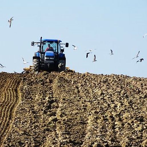Atividades sobre conservação do solo acontece neste dia 30