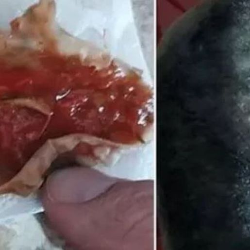 Marca é indiciada após fungos e ovos de parasitas em molho de tomate