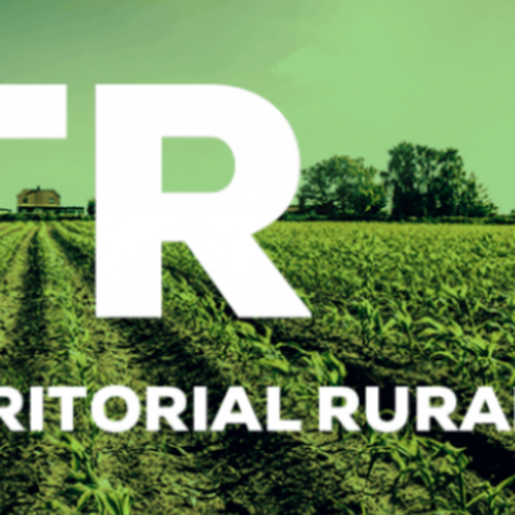 Prazo para declaração do Imposto Territorial Rural termina nesta semana