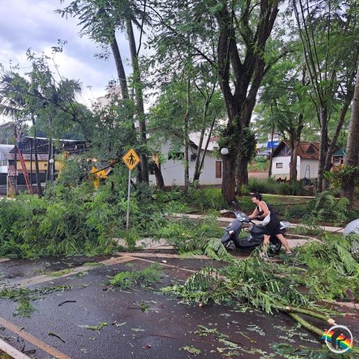 Fortes ventos derrubam árvores e danificam carros em Itapiranga