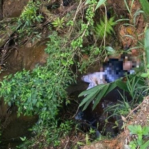 Corpo com marcas de violência é encontrado em Santa Catarina