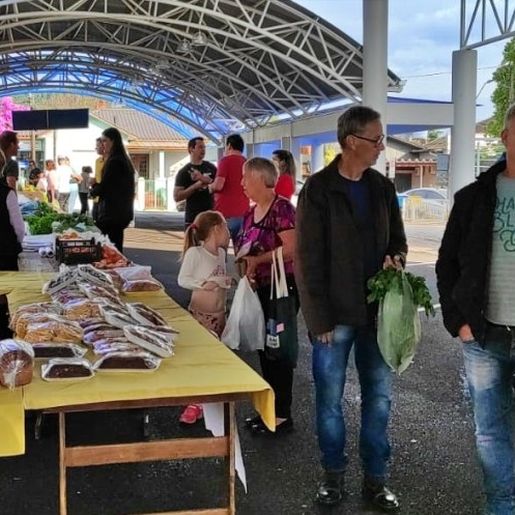 Feira Livre aumenta variedade de produtos colocados à venda em Mondaí