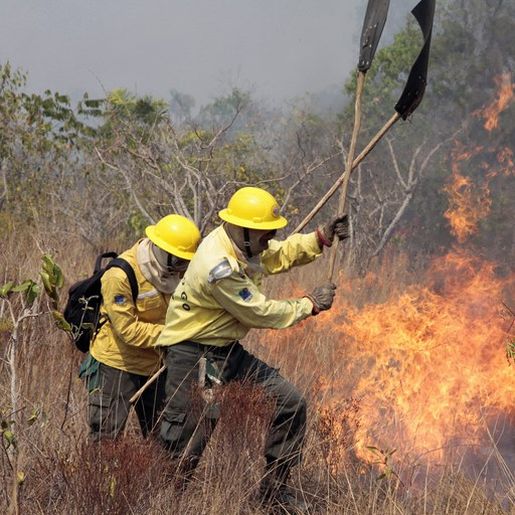 Bombeiros controlam incêndio de grandes proporções em São Miguel do Oeste