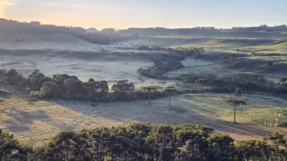 Massa de ar polar avança e temperaturas despencam em SC