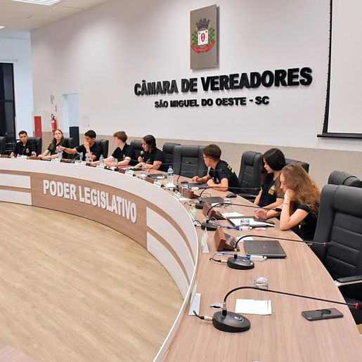 Câmara Mirim de SMO pausa atividades e adia eleições para 2025