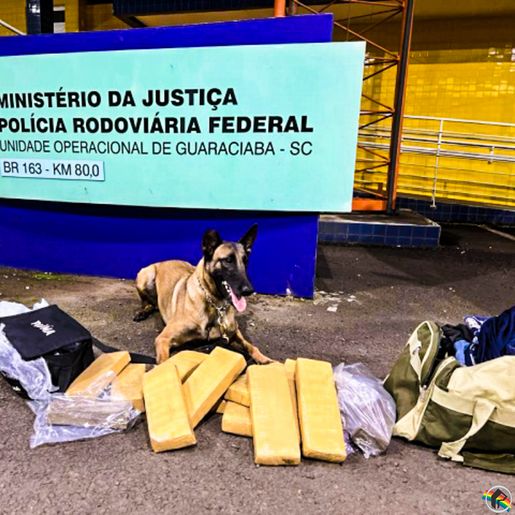 PRF prende traficante com mais de 11kg de maconha na BR-163 em Guaraciaba