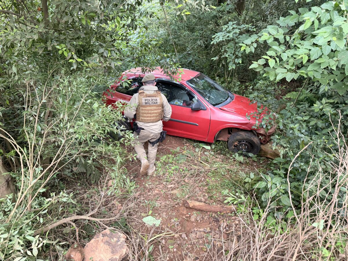 Perseguição policial leva PM até drogas escondidas em área de mata em São Miguel do Oeste