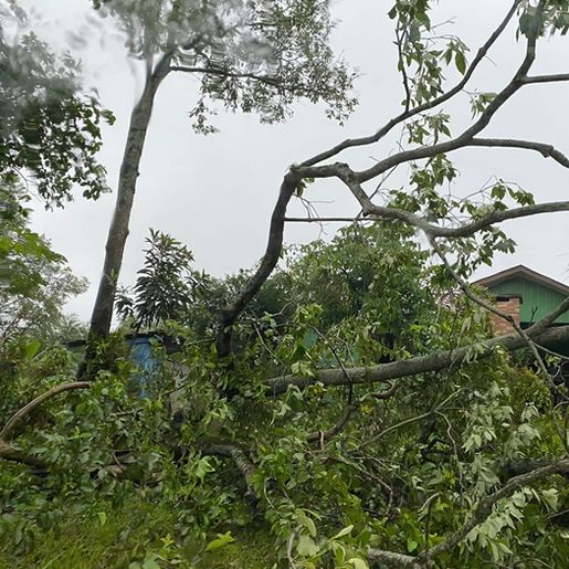 Temporal causa danos durante a madrugada em Itapiranga