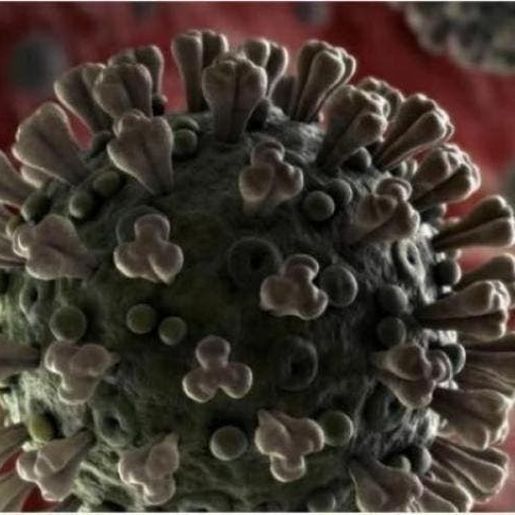 Covid-19 não acabou e vacinação precisa continuar, alerta ministra