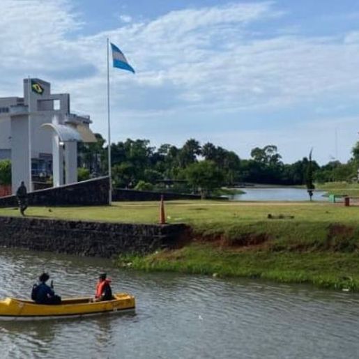 Jacaré no lago da tríplice fronteira mobiliza autoridades no Brasil e na Argentina
