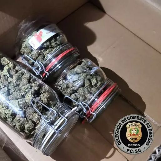 Saiba quem é o lutador famoso preso por suspeita de tráfico de drogas em SC