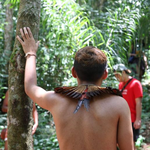 Briga termina em morte, feridos e casas incendiadas em aldeia indígena de SC