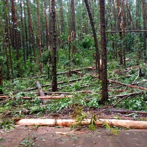 Município de Santa Helena é atingido por tornado de pequeno porte