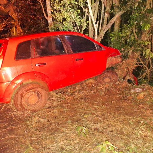 Veículo sai da pista e colide em árvores no interior do município de Riqueza