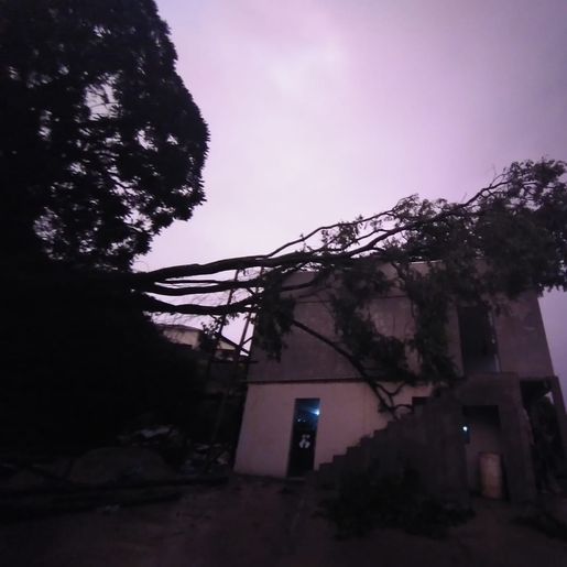 Árvore cai sobre residência e causa danos em Itapiranga