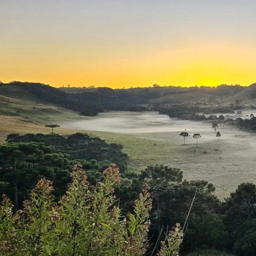 Outono começa com geada e espetáculo congelante nos Caminhos da Neve em SC