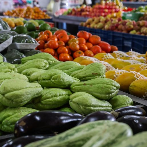 Santa Catarina lidera ranking nacional de segurança alimentar, aponta IBGE