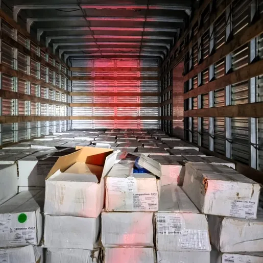 PRF apreende 5 toneladas de camarão contrabandeado na BR-282