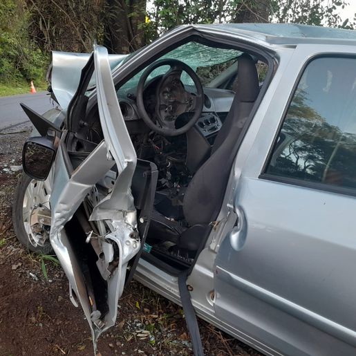 Motorista fica presa nas ferragens ao colisão com árvore na BR-282, em Maravilha