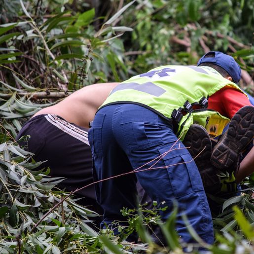 Vídeo: Trabalhador fica ferido ao ser atingido por árvore no interior de Bandeirante