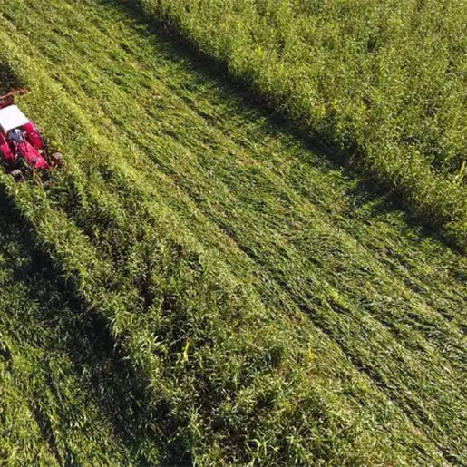 Tecnologia aliada à produção rural: cada real investido na Epagri gerou R$ 9,62 para SC