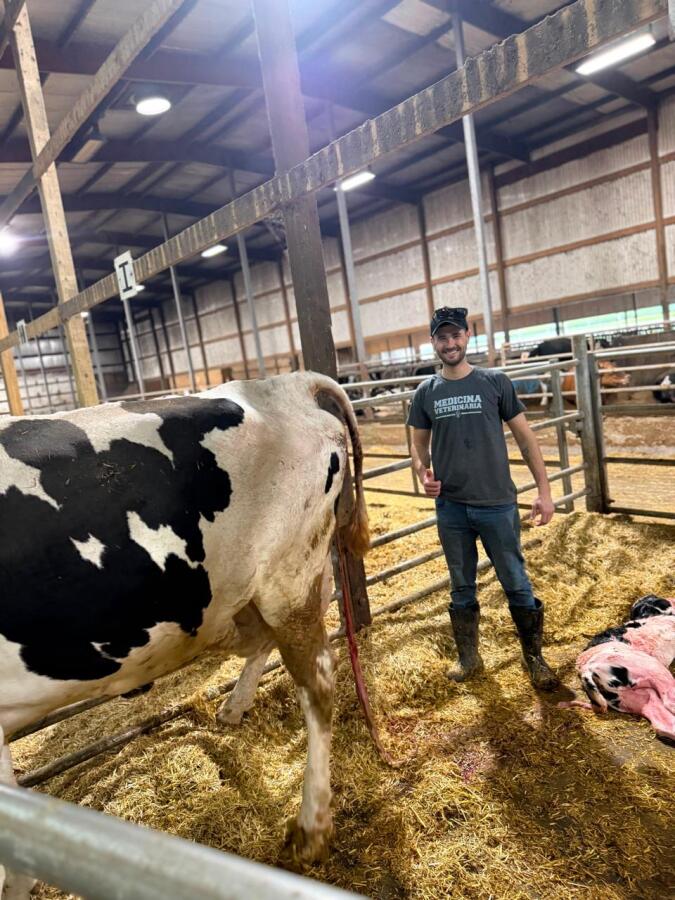 Estudante de Medicina Veterinária realiza estágio nos Estados Unidos e relata experiência