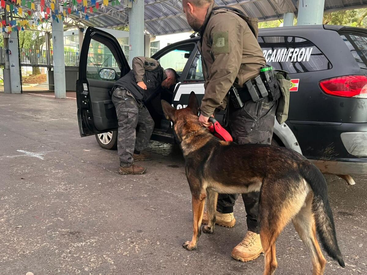 Curso de busca com cães reúne forças de segurança na Praça Central de São Miguel do Oeste
