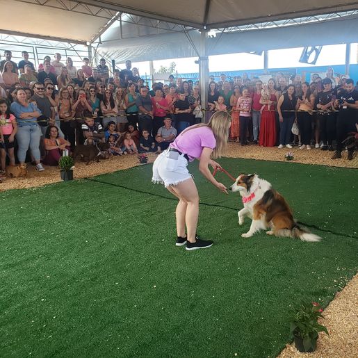 3º FAICÃO é sucesso em participações e presença de público na FAIC 2023