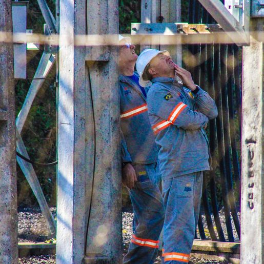 VÍDEO: Pombo causa curto-circuito e deixa mais de 35 mil consumidores sem energia
