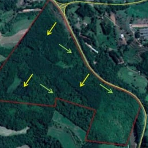 IMA concede Licença ambiental e empresa poderá gerar mais de 500 empregos em Palmitos