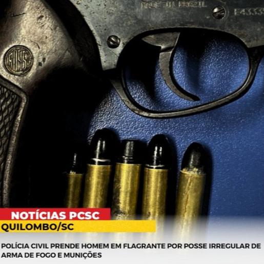 Homem é preso em flagrante por posse irregular de arma de fogo e munições