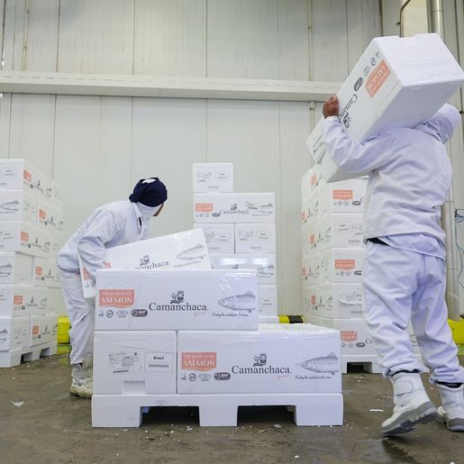 Sine Santa Catarina oferece mais de 8 mil vagas de emprego em todo o estado