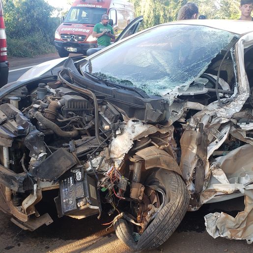 Após ser picado por abelha, motorista perde controle do carro e causa acidente na SC 163